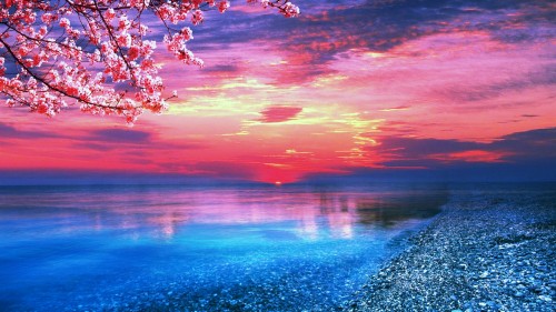 海のデスクトップの壁紙 空 自然の風景 自然 海 海洋 反射 地平線 朝 穏やかな 日の出 Wallpaperkiss