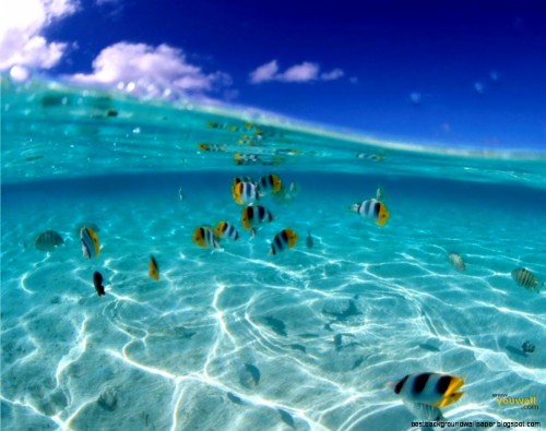 熱帯のデスクトップの壁紙 水 アクア 海洋 海 空 楽しい 余暇 波 カリブ海 Wallpaperkiss