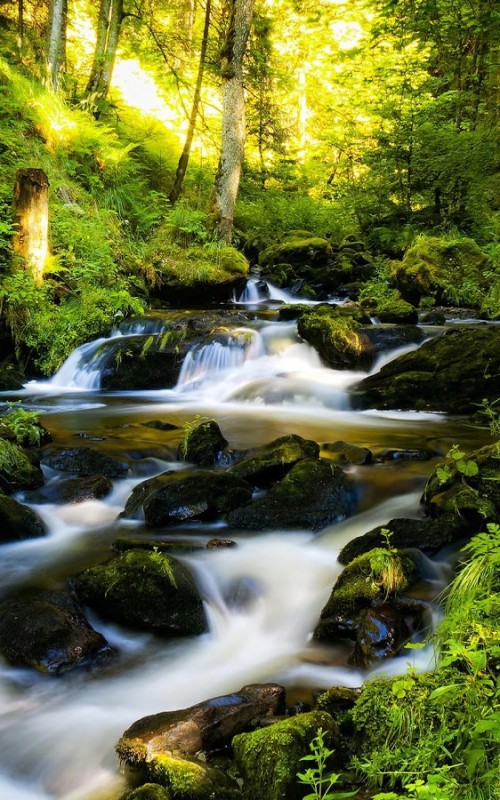 壁紙animasi Android Terbaik 水域 自然の風景 自然 ストリーム 水路 水資源 水 滝 Wallpaperkiss