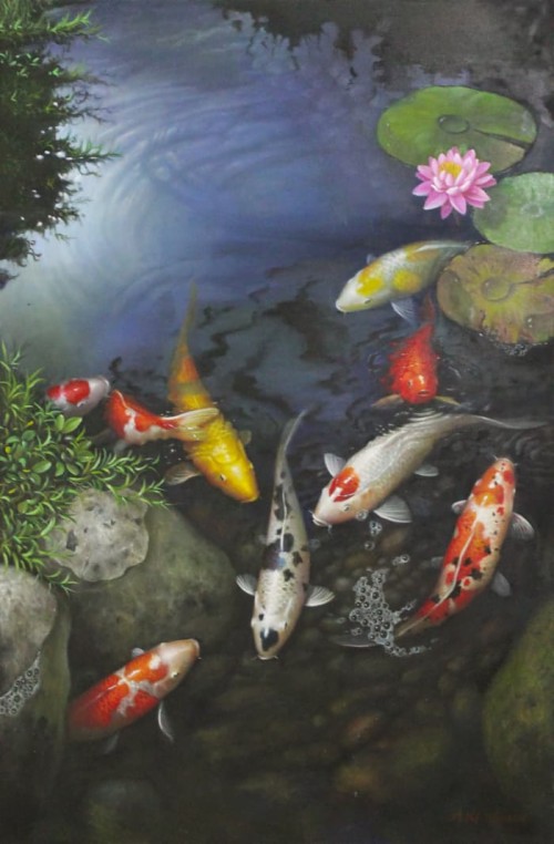 壁紙hidup Ikan Koi 魚のいる池 恋 池 魚 フィーダーフィッシュ 金魚 水路 魚 水 Wallpaperkiss