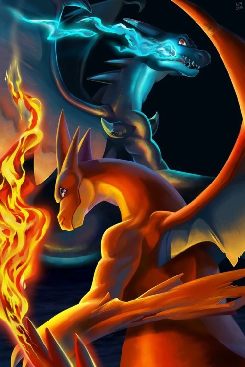 Pokemon Charizard Wallpaper Flame Heat Fire Orange Font Graphics Art Wallpaperkiss