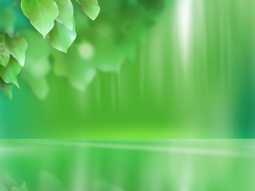 緑のデスクトップの壁紙 緑 工場 花 Wallpaperkiss