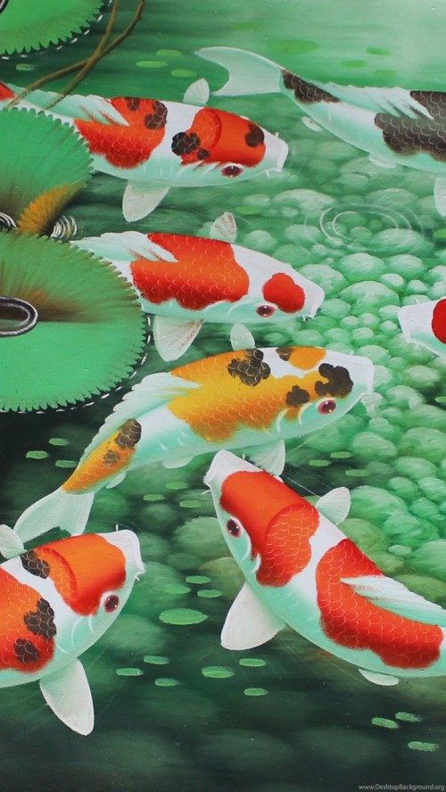 Iphone 6s魚の壁紙 クマノミ 魚 魚 クマノミ ヤマアラシ科 恋 海洋生物学 硬骨魚 Wallpaperkiss