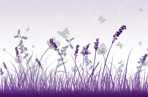 パープルグレー壁紙 ラベンダー 花 ラベンダー 紫の バイオレット イングリッシュラベンダー 工場 開花植物 ライラック Wallpaperkiss