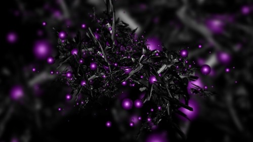 デザイナーの織り目加工の壁紙 バイオレット 紫の 黒 ピンク パターン ライラック ライン 設計 フォント Wallpaperkiss