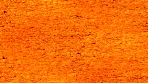 オレンジ色の壁紙デザイン オレンジ 黄 グラフィックデザイン 図 花柄 サークル アート パターン グラフィックス Wallpaperkiss