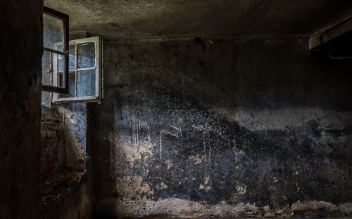 古い壁の壁紙 壁 闇 ルーム ストックフォト 写真撮影 家 建物 廃墟 床 Wallpaperkiss