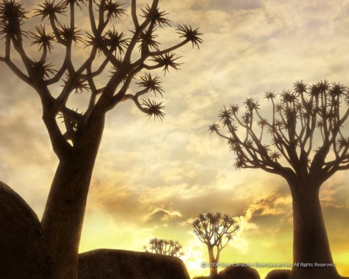 アフリカの壁紙 空 木 自然 自然の風景 サバンナ 木本 朝 工場 日光 Wallpaperkiss