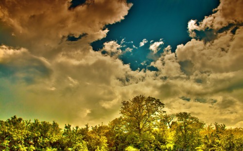 ノスタルジックな壁紙 空 自然 自然の風景 地平線 木 雲 日の出 朝 日没 Wallpaperkiss