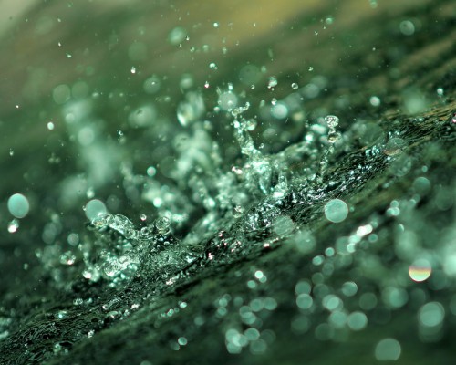 雨のデスクトップの壁紙 水 緑 水分 落とす ターコイズ 露 きらめき マクロ撮影 閉じる ガラス Wallpaperkiss