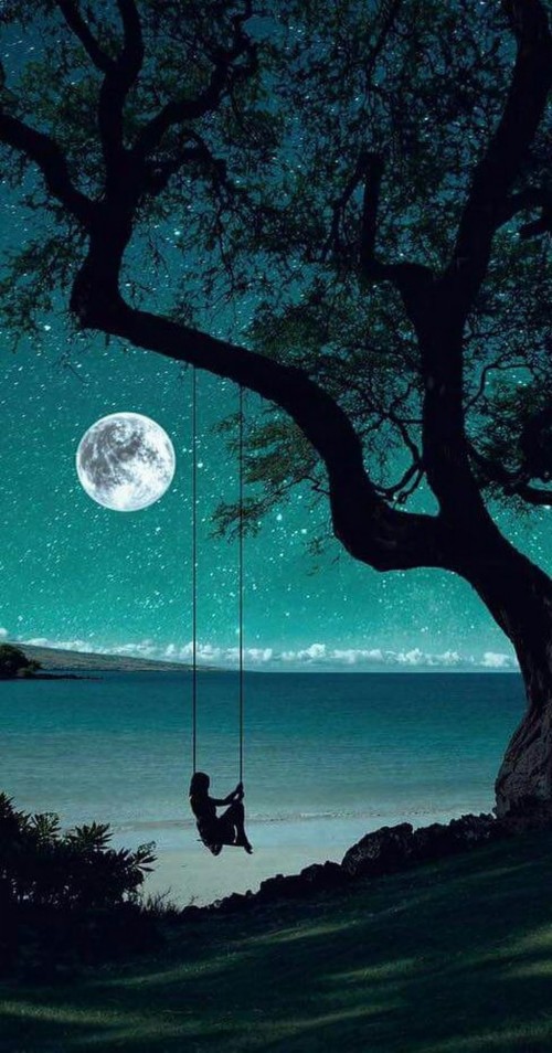 美しい月の夜の壁紙 月 空 月光 自然 満月 光 自然の風景 天体 海 Wallpaperkiss