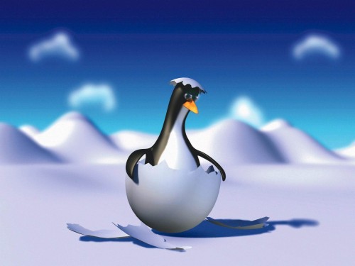 アニメ化された自然の壁紙 飛べない鳥 鳥 ペンギン 皇帝ペンギン Wallpaperkiss