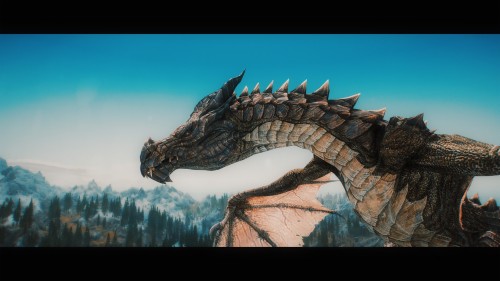 Skyrim Dragon Wallpaper Dragon Cg Artwork Fictional Character Mythical Creature Sky Extinction Animation Rock Illustration Screenshot Wallpaperkiss