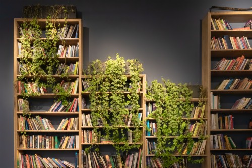 Bookcase Wallpaper B Q Shelving Shelf Bookcase Furniture Book Library Tree Room Building Plant Wallpaperkiss