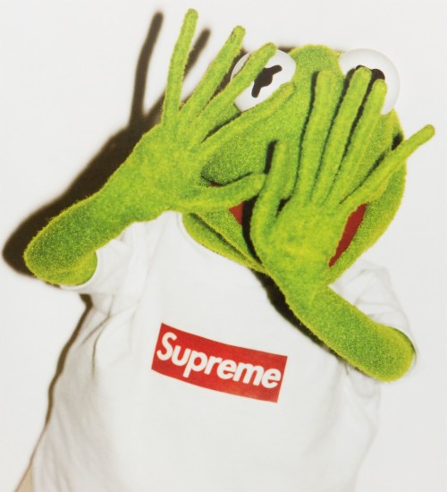 Supreme Kermit Wallpaper Green Glove Hand Personal Protective Equipment Finger Textile Plant Dinosaur Fashion Accessory Safety Glove 158 Wallpaperkiss