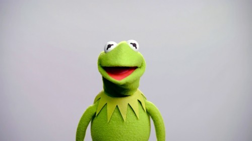 Supreme Kermit Wallpaper Green Frog Amphibian Toy Stuffed Toy Animation Organism Tree Frog Textile Smile Wallpaperkiss
