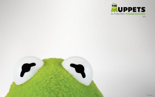 Kermit Wallpaper Green Animation Organism Wallpaperkiss