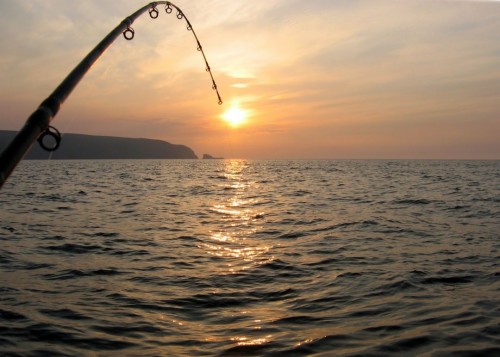 海水釣りの壁紙 地平線 空 海 日没 海洋 穏やかな レクリエーション釣り 水 ジギング Wallpaperkiss