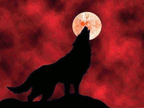 赤い月の壁紙 赤 月 空 満月 出来事 天体 スポーツグループ 図 Wallpaperkiss