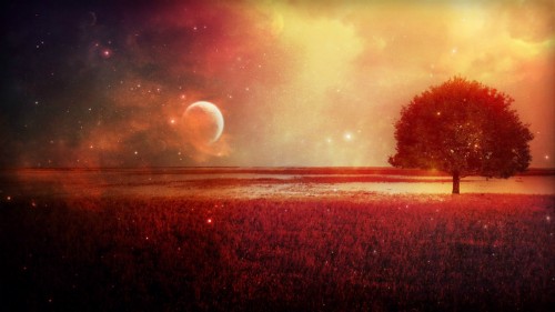 赤い月の壁紙 空 自然 赤 雰囲気 天体 光 宇宙 地平線 Wallpaperkiss