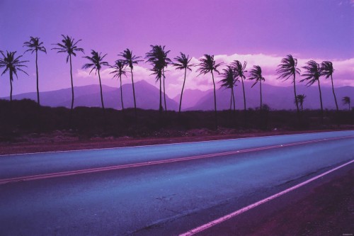 パステルパープル壁紙 空 紫の 道路 木 バイオレット ヤシの木 夕暮れ 地平線 ピンク イブニング Wallpaperkiss