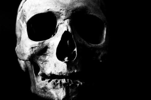 ブラックホラー壁紙 頭 頭蓋骨 骨 アイウェア あご 人間 黒と白 モノクロ写真 写真撮影 モノクローム Wallpaperkiss