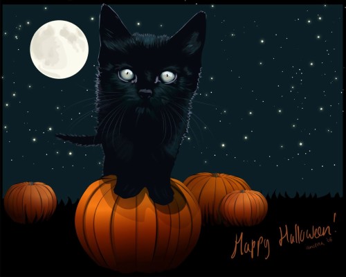 不気味なiphoneの壁紙 ネコ 黒猫 中型から中型の猫 ネコ科 トリック オア トリート かぼちゃ ひげ 空 カラバザ 086 Wallpaperkiss