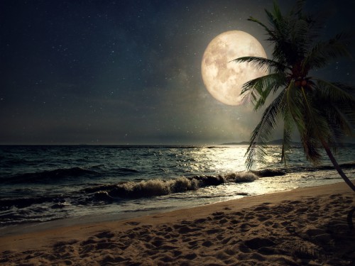 美しい夜空の壁紙 月 空 自然 月光 光 天体 満月 夜 453 Wallpaperkiss