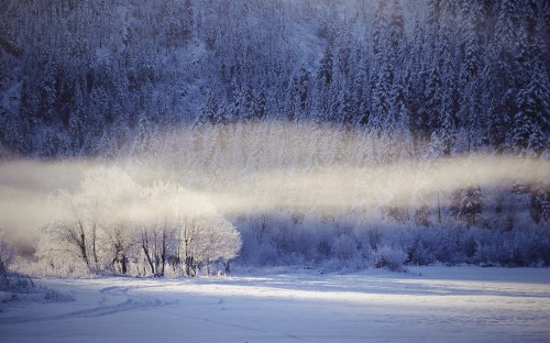 feeling sad wallpaper,sky,natural landscape,nature,tree,winter,snow ...