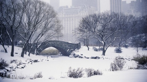 ニューヨークの冬の壁紙 雪 冬 凍結 木 黒と白 建築 家 Wallpaperkiss