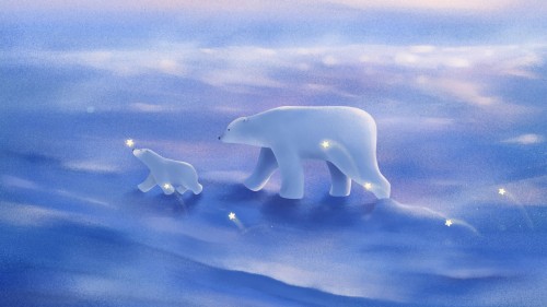 シロクマの壁紙のhd シロクマ くま 北極 陸生動物 北極海 シロクマ 氷 Wallpaperkiss