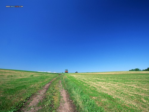 農場のシーンの壁紙 草原 空 フィールド 自然の風景 緑 平野 草 地平線 Wallpaperkiss