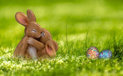 イースターバニーの壁紙 草 イースター イースターエッグ 空 イースターのウサギ ウサギとウサギ ウサギ 牧草地 卵 休日 Wallpaperkiss