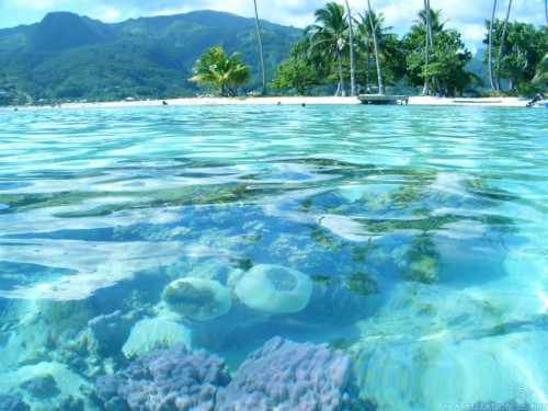 タヒチの壁紙 水資源 水 自然の風景 アクア 海 海洋 空 ラグーン Wallpaperkiss