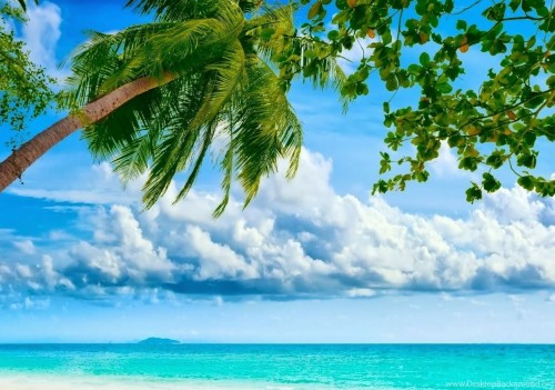 デスクトップの無料ダウンロードのための自然の美しい壁紙 空 自然の風景 自然 昼間 カリブ海 木 休暇 海洋 Wallpaperkiss