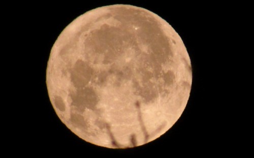 スーパームーン壁紙 月 自然 月食 雰囲気 天体 空 静物写真 出来事 夜 Wallpaperkiss