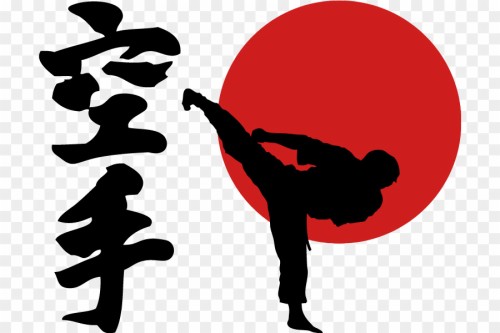 Karate Kick Wallpaper Weightlifting Barbell Weights Weight Training Exercise Equipment Deadlift Balance Physical Fitness Powerlifting Leg Wallpaperkiss
