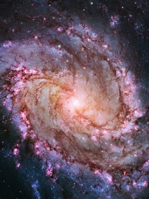 銀河イメージ壁紙 銀河 渦巻銀河 宇宙 天体 星雲 宇宙 スペース 天文学 雰囲気 ピンク Wallpaperkiss