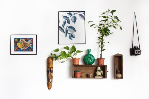 家の壁のためのhdの壁紙 棚 壁 棚 家具 ルーム テーブル 木材 工場 観葉植物 インテリア デザイン Wallpaperkiss