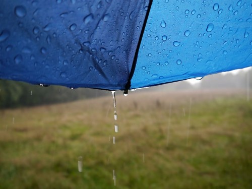 梅雨のhdの壁紙 水 青い 緑 落とす 雨 傘 草 ターポリン 葉 水分 Wallpaperkiss