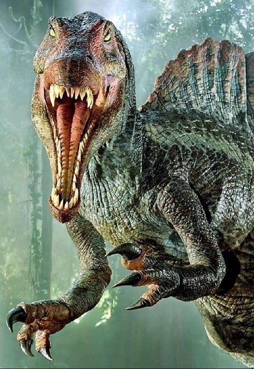 スピノサウルスの壁紙 恐竜 ヴェロキラプトル ティラノサウルス 陸生動物 トルドン 架空の人物 Wallpaperkiss