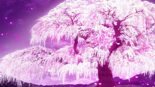 Fbの美しい壁紙 自然 紫の バイオレット 水 凍結 世界 氷 岩 スペース Wallpaperkiss